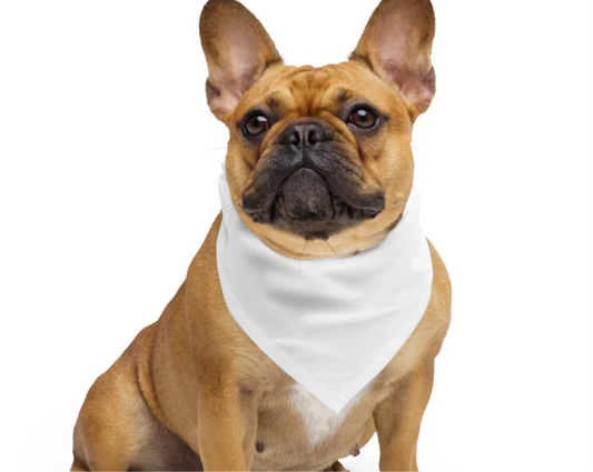 "I LOVE MY OWNER" bandana 🐾